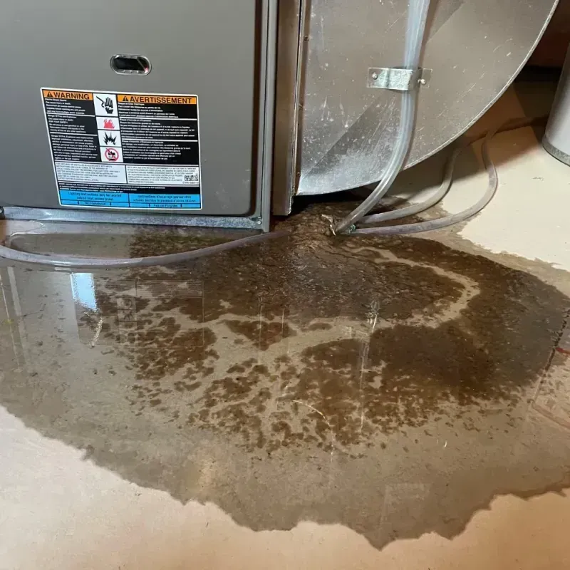 Appliance Leak Cleanup in Brewster County, TX